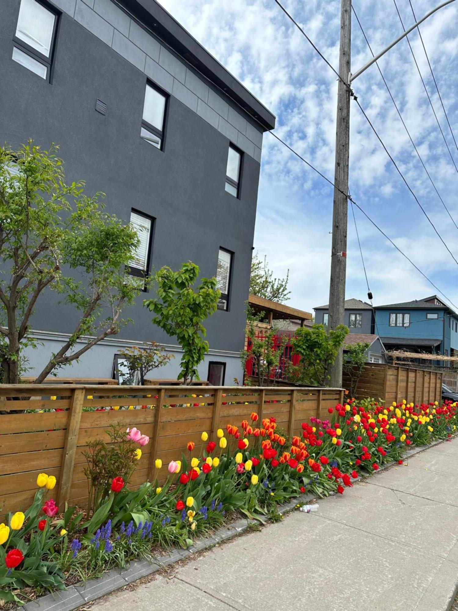 Lower Loft Suite -Space Share Toronto Exterior photo