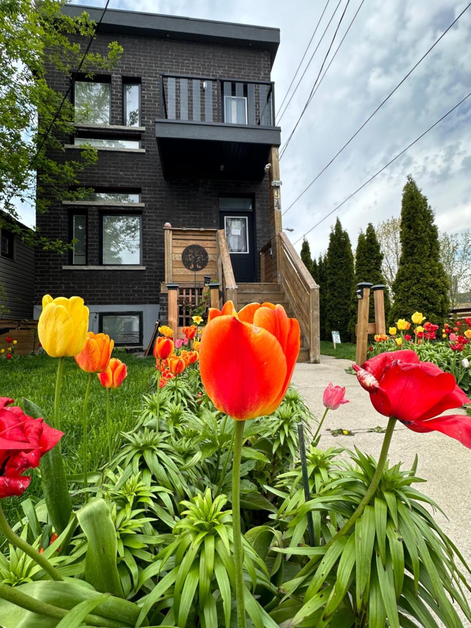 Lower Loft Suite -Space Share Toronto Exterior photo